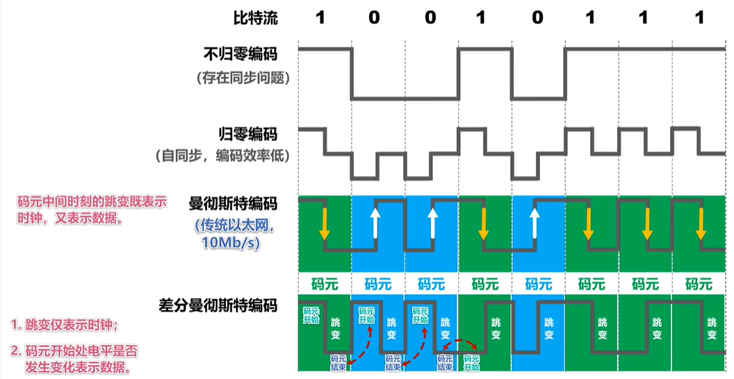 常用编码