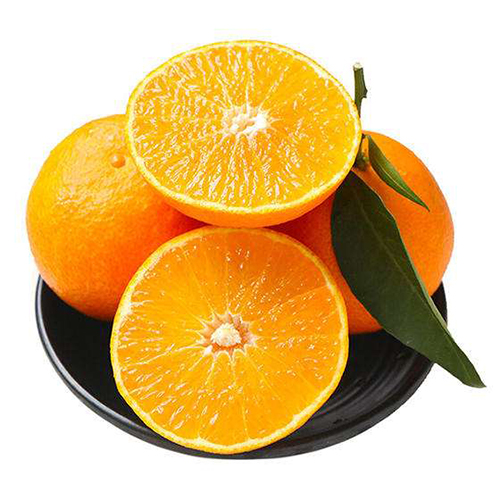 iphone11什么时候上市浙江象山正宗红美人什么时候上市