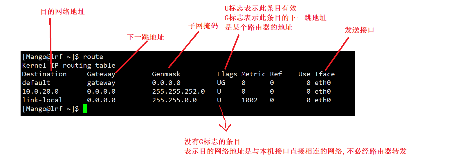 【网络】IP协议