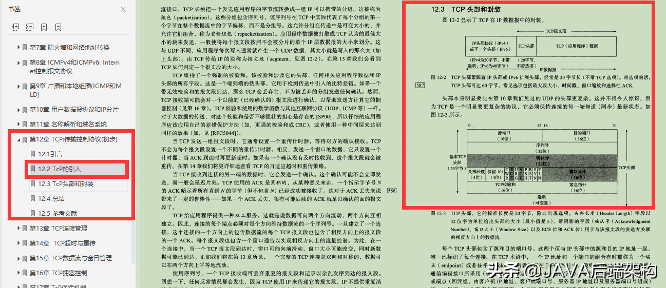 清华大牛爆肝分享网络底层/网络协议/TCP/IP协议详解卷一