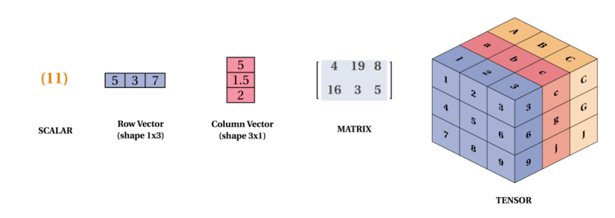 scalar-vector-matrix-tensor-array-scalar-vector