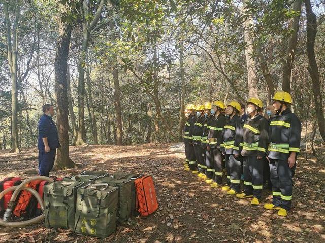 11 为了进一步 岳麓山景区消防实行网格化管理 整个景区分为11大片区 郄小虎tiger的博客 程序员宅基地 程序员宅基地