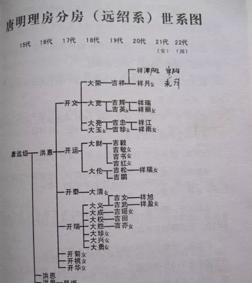 魏氏家谱人口字辈大全_魏氏家谱人口字辈大全 魏氏家族,辈分怎么排的,