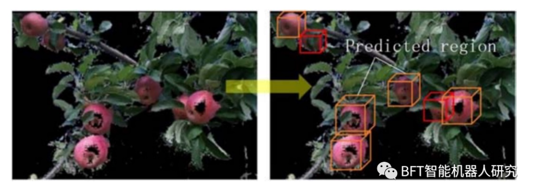 论文解读 | 基于视觉的水果采摘机器人识别与定位方法研究进展