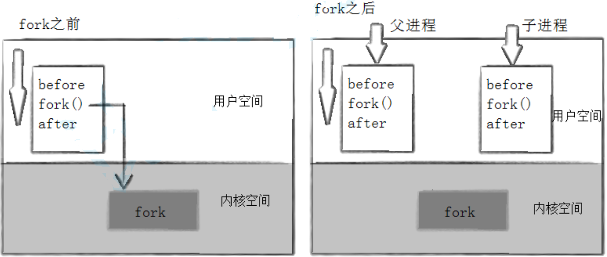 Linux-进程控制（1）_退出码