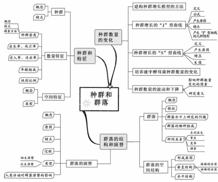 初二生态系统思维导图学霸整理20张生物思维导图最全版本