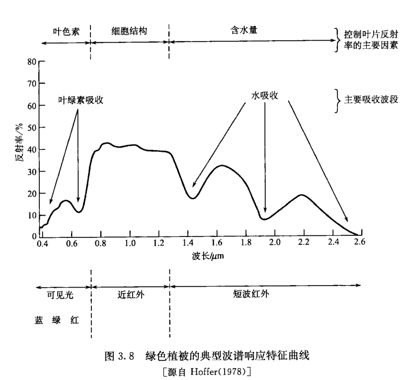 image-20230613234827546