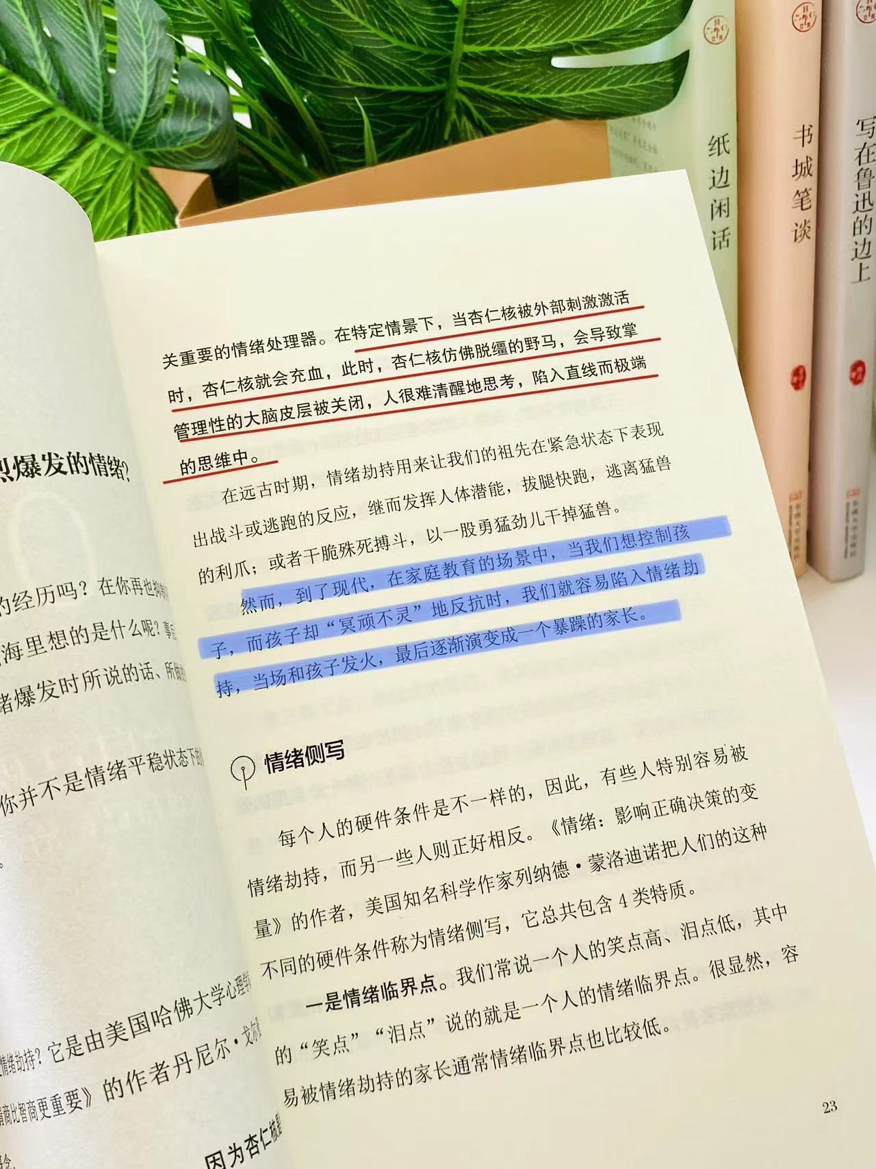 你为什么总是出现突然猛烈爆发的情绪？-CSDN博客
