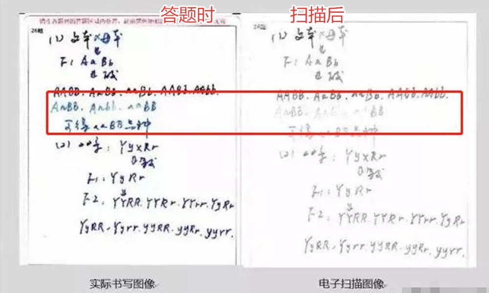 两张电脑阅卷的对比图,一看便知.