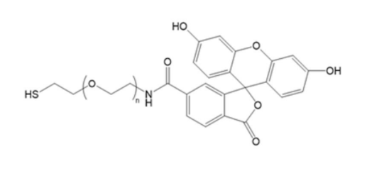 FITC-PEG-SH,荧光素-聚乙二醇-巯基的用途：用于修饰氨基酸，蛋白质等