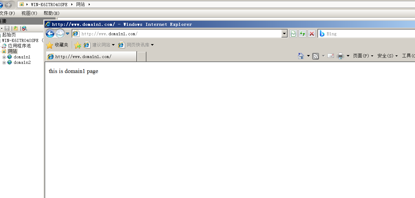 windows server 2008安装配置web服务器[亲测有效]_https://bianchenghao6.com/blog__第15张