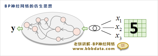 BP神经网络的仿生思想