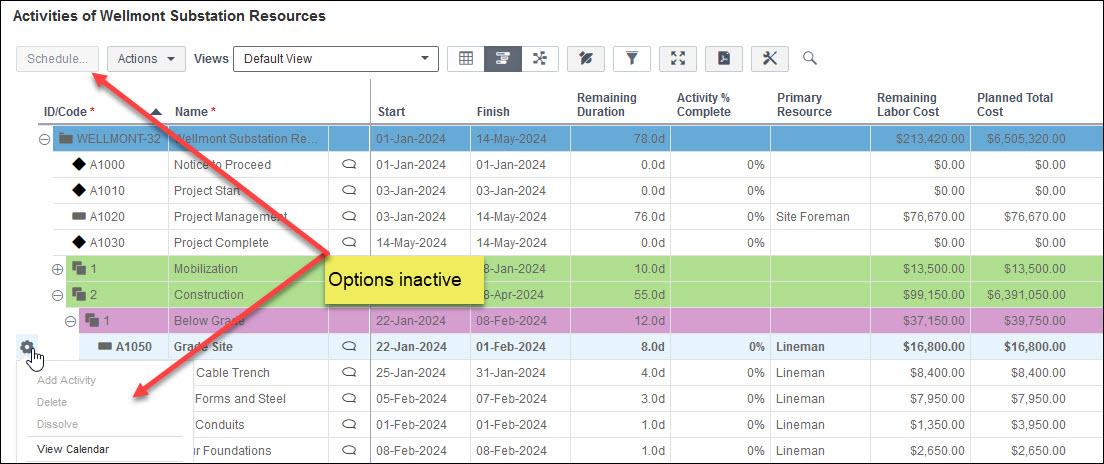 Primavera P6 EPPM Responsible Manager