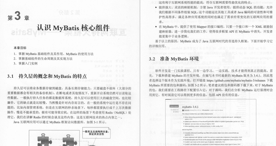 Alibaba internally produced JavaEE development manual (MVC+ Spring+MyBatis) and Redis