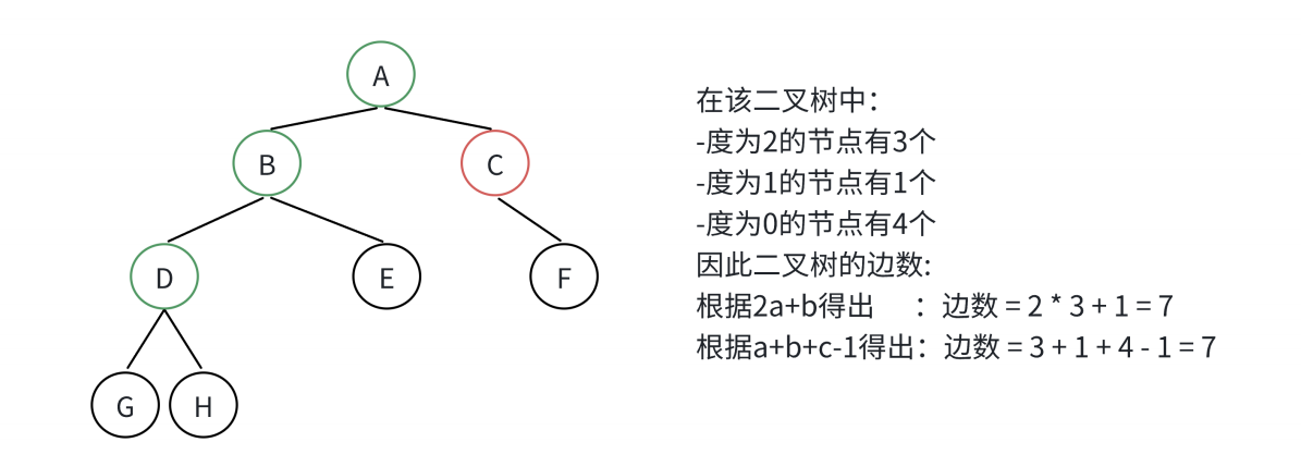 【初阶数据结构】9.二叉树（4）