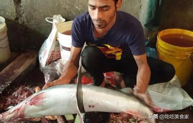 印度人为什么立刀切菜印度人如何用菜刀为什么是菜刀不动食材动与中国