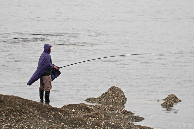 JAVA中fish什么意思,您知道fish for是什么意思吗？-CSDN博客