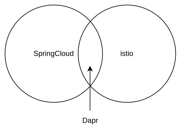 6379a2c5bc638da04d09f6506dd2e868 - 为什么Dapr是比SpringCloud和Istio更优雅的微服务框架？