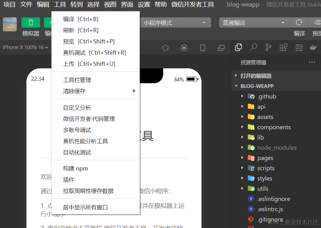 大姐博客普通程序图片