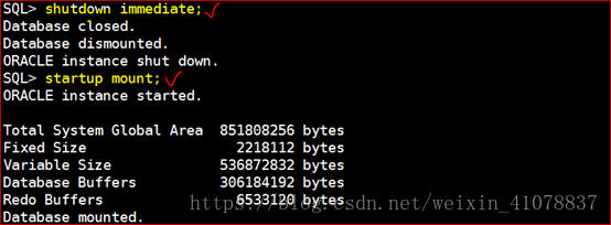 Oracle 11g R2 Rman、数据泵、闪回备份与恢复