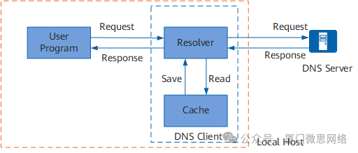 DNS——域名系统