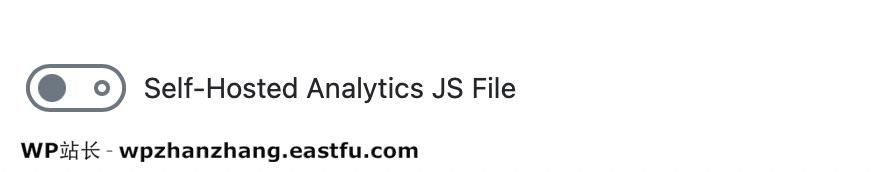 自托管的Analytics JS文件