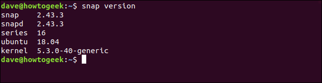 The "snap version" command in a terminal window.