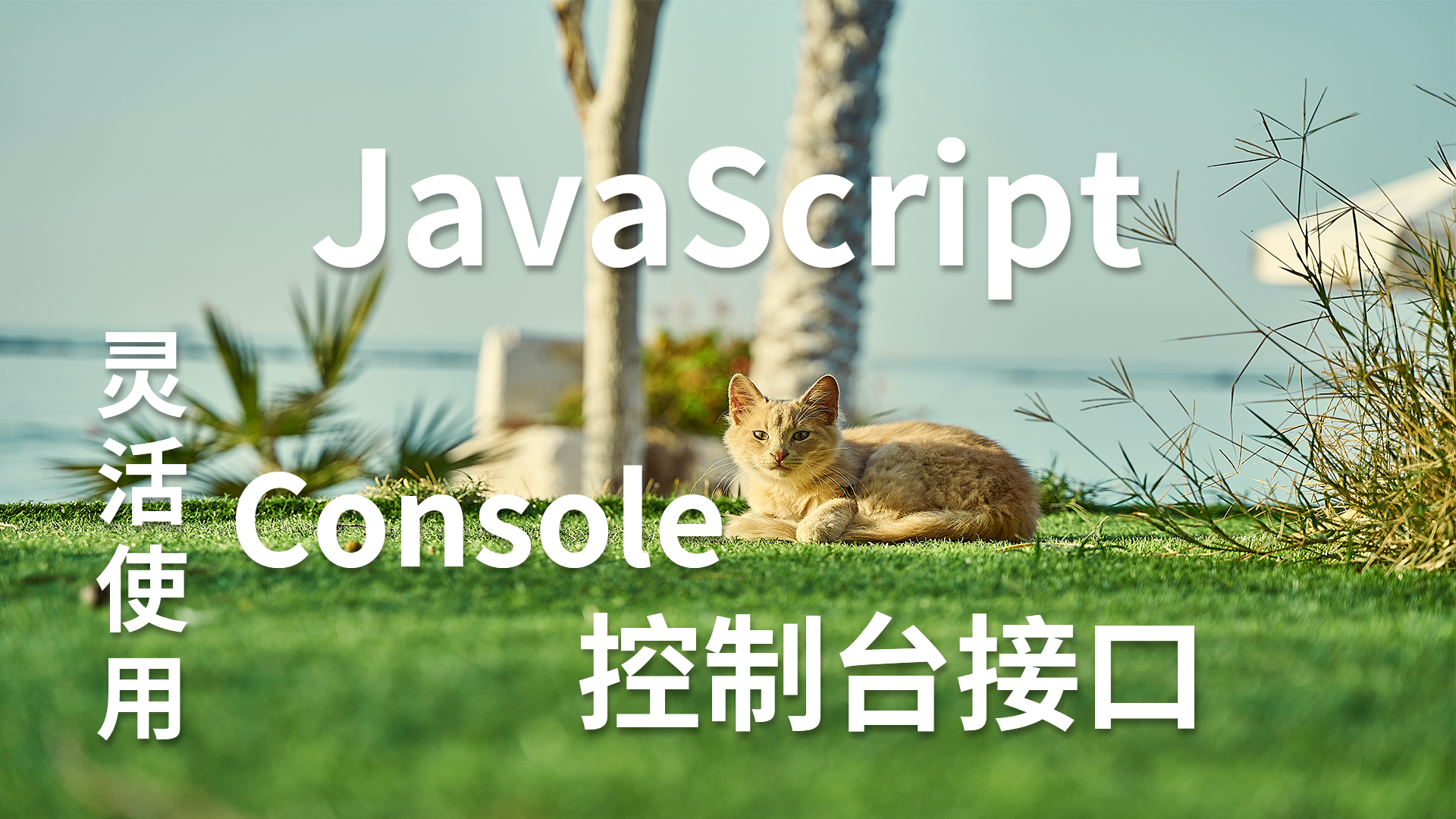 JavaScript 灵活使用Console.png