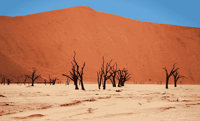 A Tour of Recurrent Neural Network Algorithms for Deep Learning
