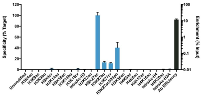 Epicypher热销产品——Histone H3K27ac Antibody, SNAP-ChIP® Certified