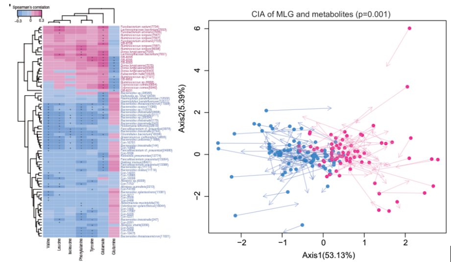 代谢组与微生物联合分析实战_代谢组学与微生物组学相关性分析选用哪个 