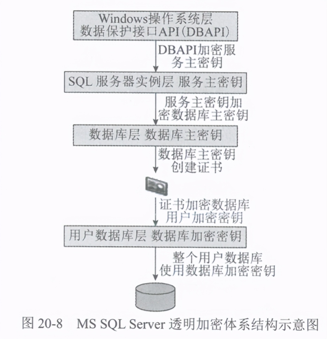 2020最新最全数据库系统安全