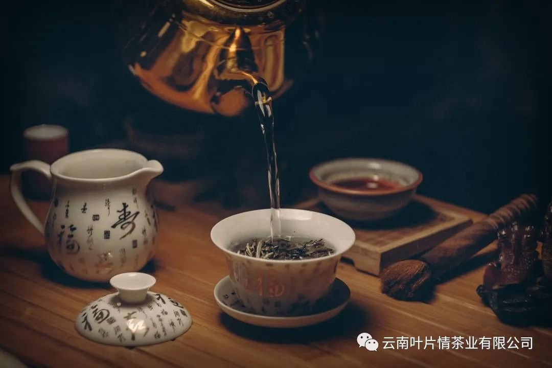 普洱茶知识大全