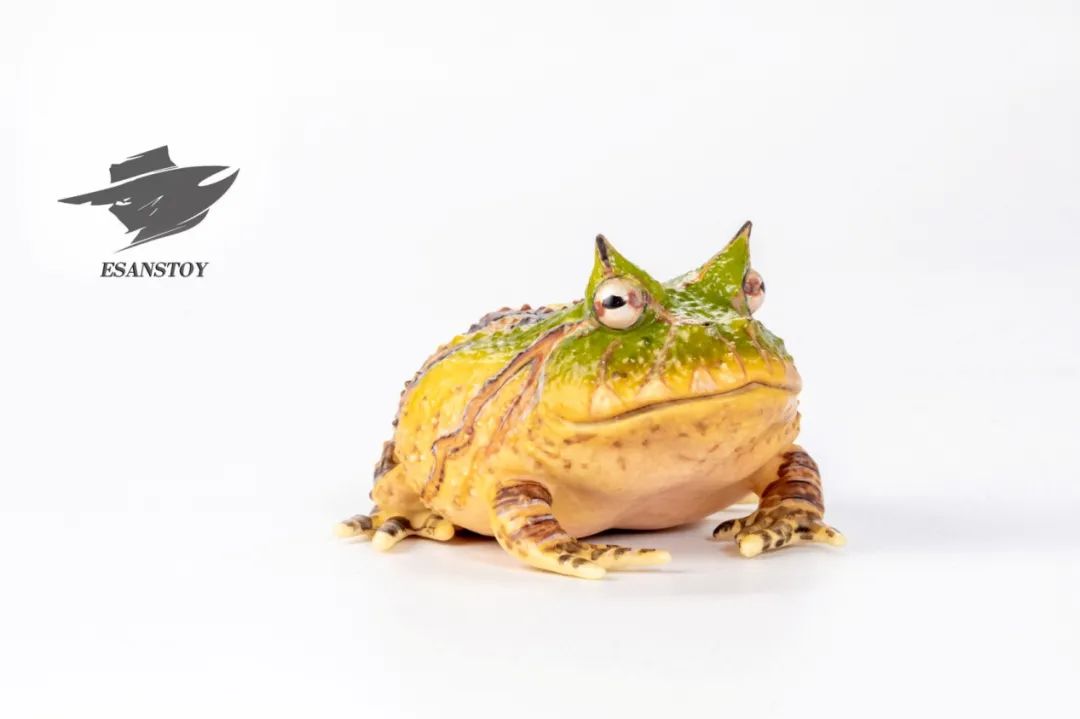 Esanstoys霸王角蛙，和真的蛙真香