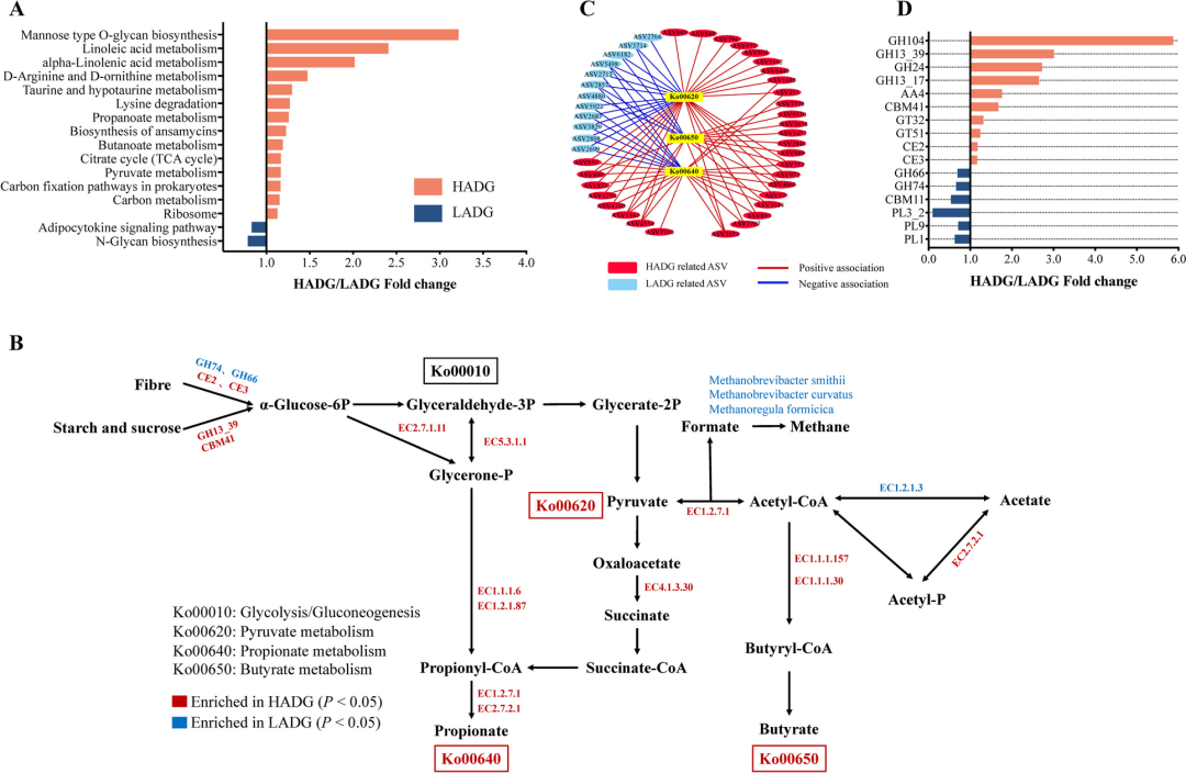Microbiome | 西北农大揭示瘤胃关键菌和微生物代谢组对成年奶山羊泌乳性能的长期影响...-CSDN博客
