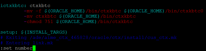 Viewing the ins_ctx.mk file in vim to fix the Oracle installation error