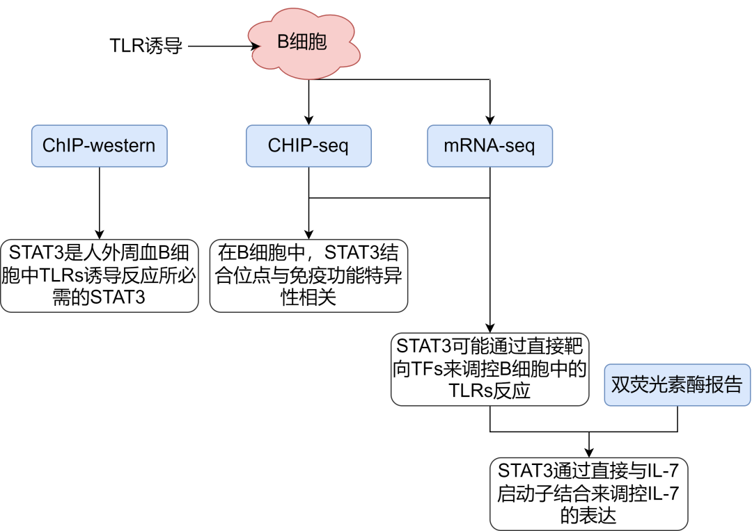 联合分析专题：带你了解转录组+表观遗传联合分析在医学方向的研究思路