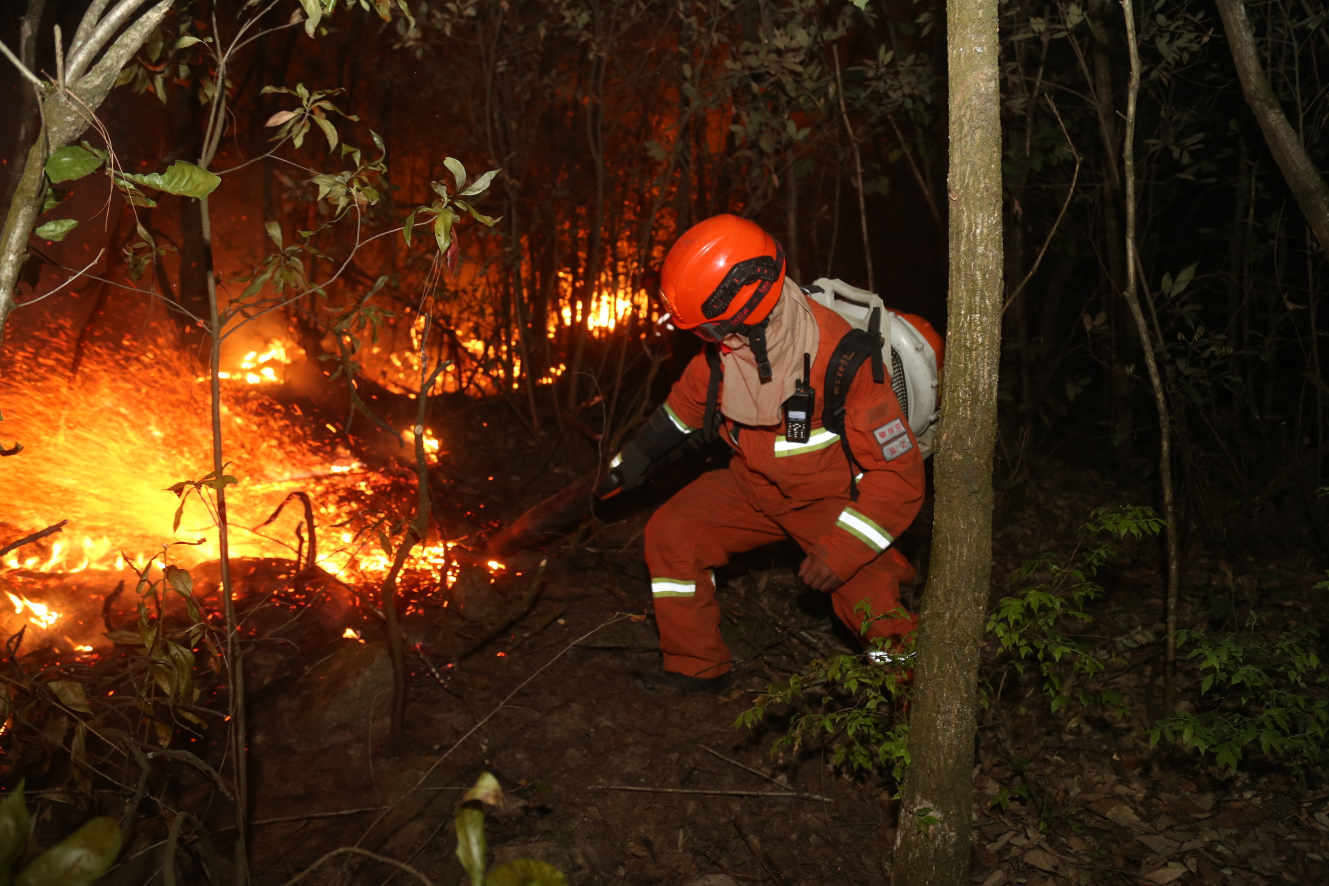 森林消防高压灭水泵
