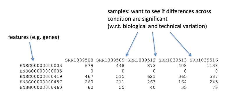 RNA-seq 详细教程：分析流程介绍（1）