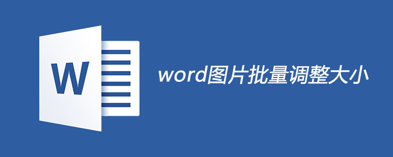 php批量处理图片大小,word图片怎么批量调整大小