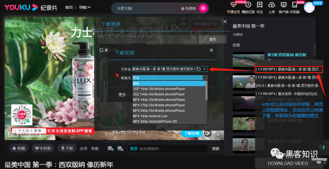 全球最快下载工具 XDM