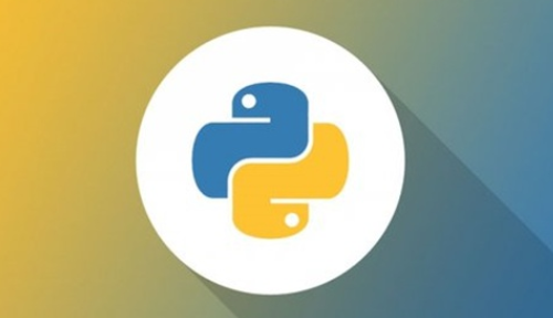 Python interpreter installation