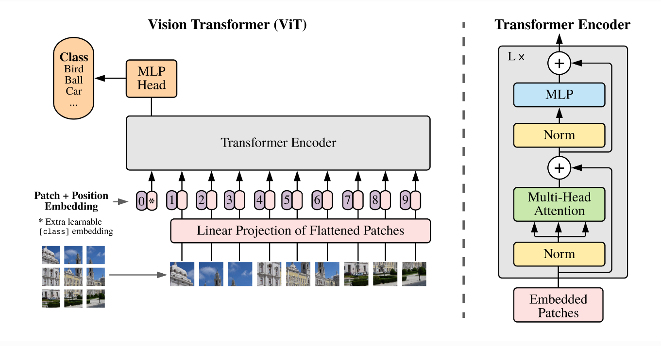 图1 ViT算法结构示意图