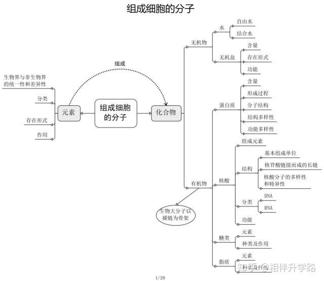 生物选修一框架图图片