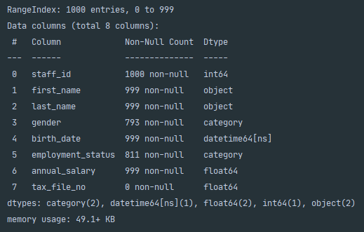 Image showing the console output after calling Pandas built-in function .info()