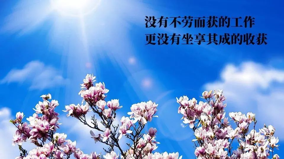 最新emoji表情代码大全早安不用打字都懂的聊天暖心动态祝福图片最新