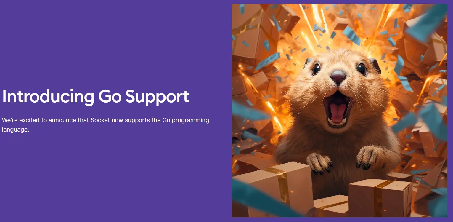 The open source code scanning tool Socket adds support for the Go ecosystem The open source code scanning tool Socket adds support for the Go ecosystem