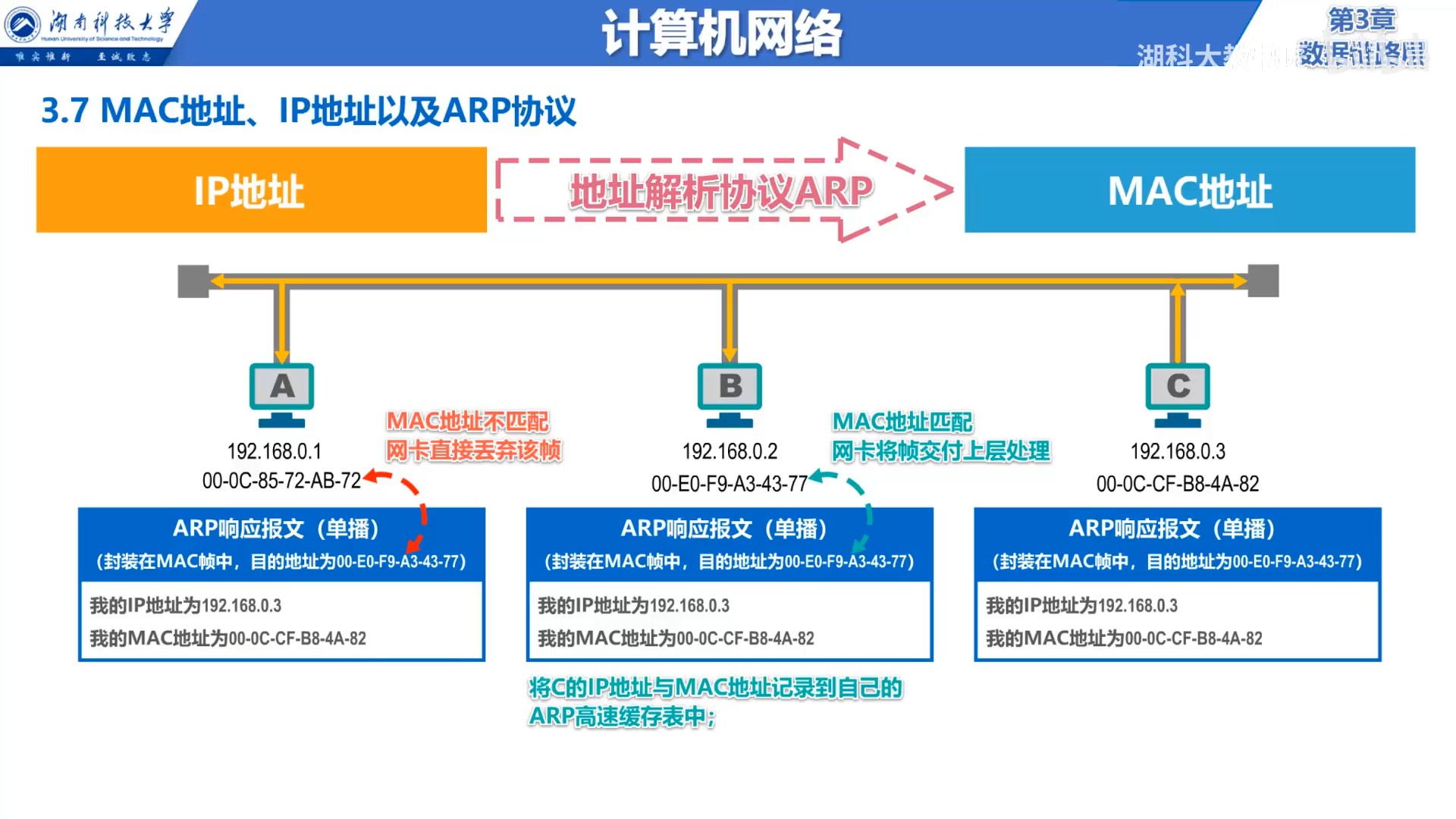 ARP响应报文.jpg