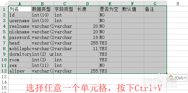 Navicat如何导出Excel格式表结构