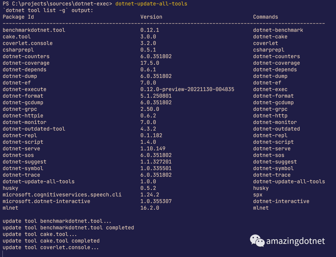 实现一个更新所有 dotnet tool 的 dotnet tool